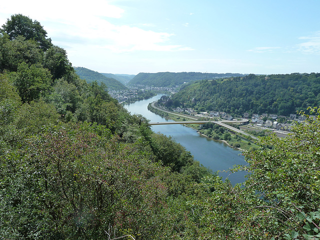 Blick auf die Mosel bei Dieblich