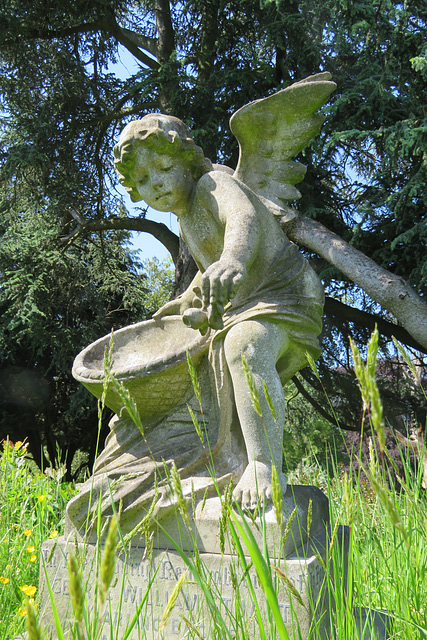 teddington cemetery, london