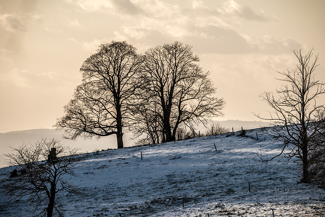 Rhön - vom Fuldaer Haus zur Enzianhütte -  20190102