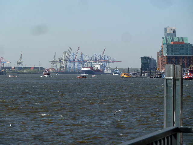 Langeweile gibt es auf der Elbe in Hamburg nicht