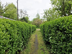 -durchweg 8291 -durchweg 8291