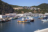 Fishing boats.