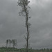 20250524-20250525_Benneckenstein+Wanderung Tanne bis Elbingerode