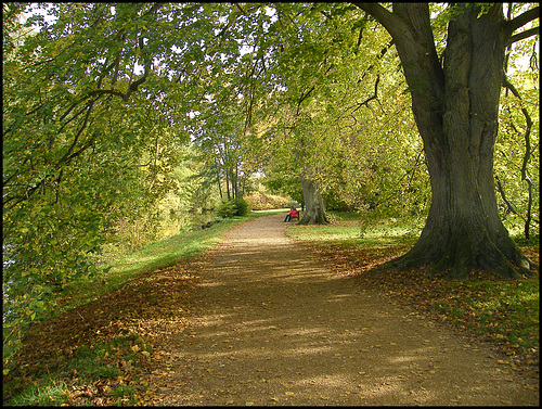 Cherwell Walk