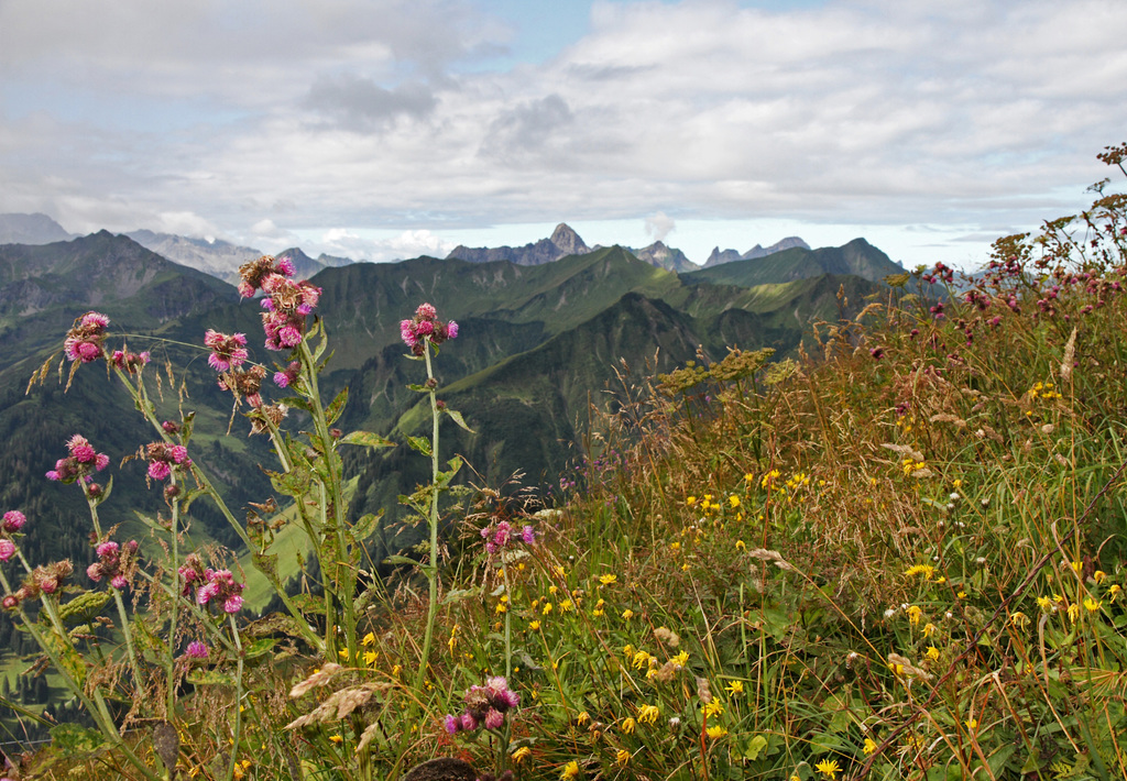 im Kleinwalsertal