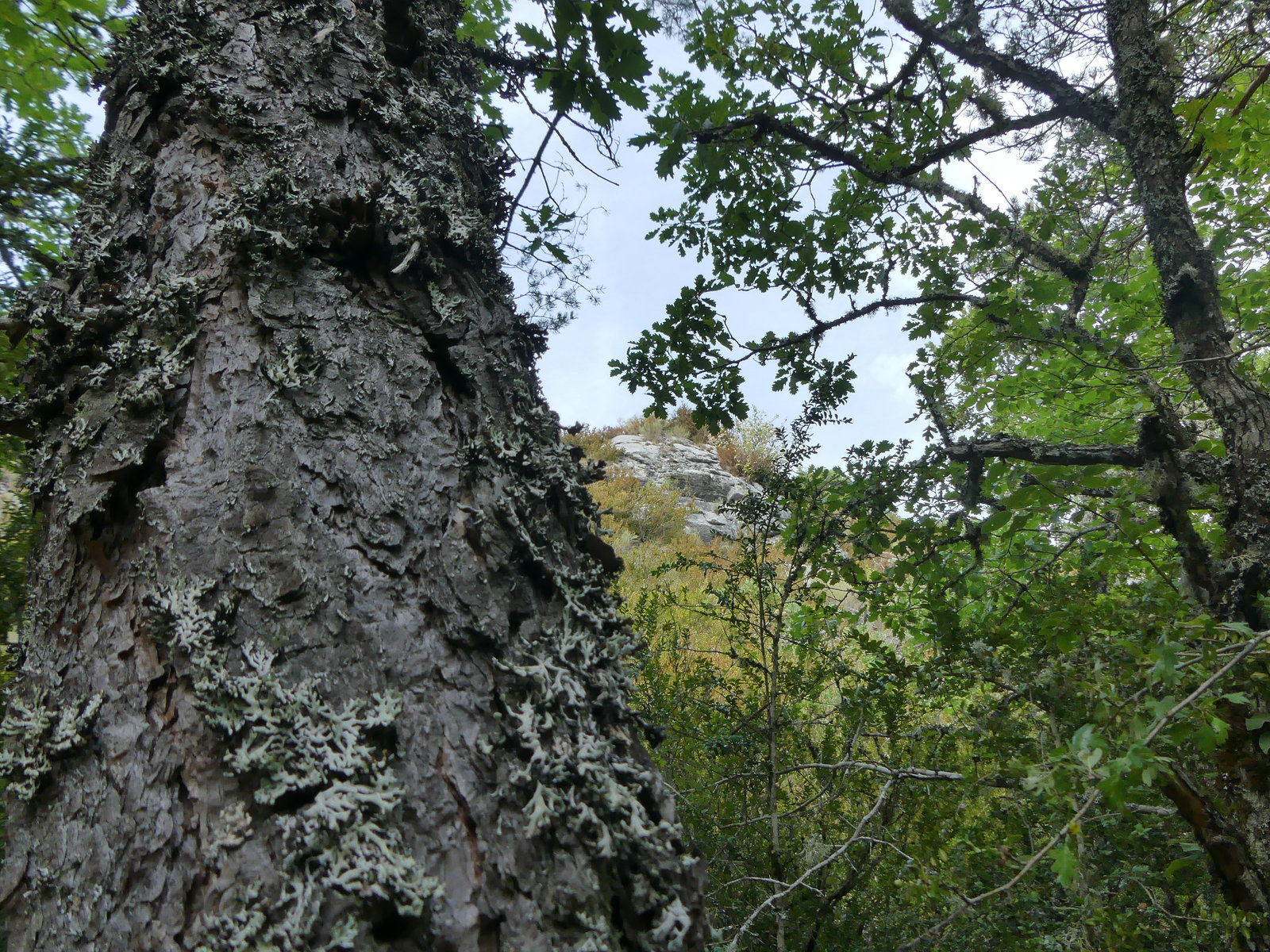 20190826 -0908 Diois (669)