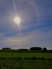 Sun Halo & Contrail