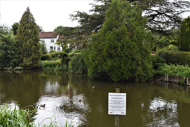 Graveley Wildlife Pond