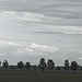 20250524-20250525_Benneckenstein+Wanderung Tanne bis Elbingerode