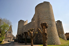 Le Château de Yèvre-le-Châtel - Loiret