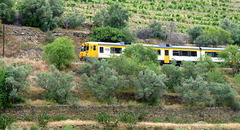 Douro Valley Railway Train near Regua