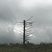 20250524-20250525_Benneckenstein+Wanderung Tanne bis Elbingerode