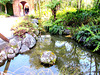 In Hamilton Gardens.