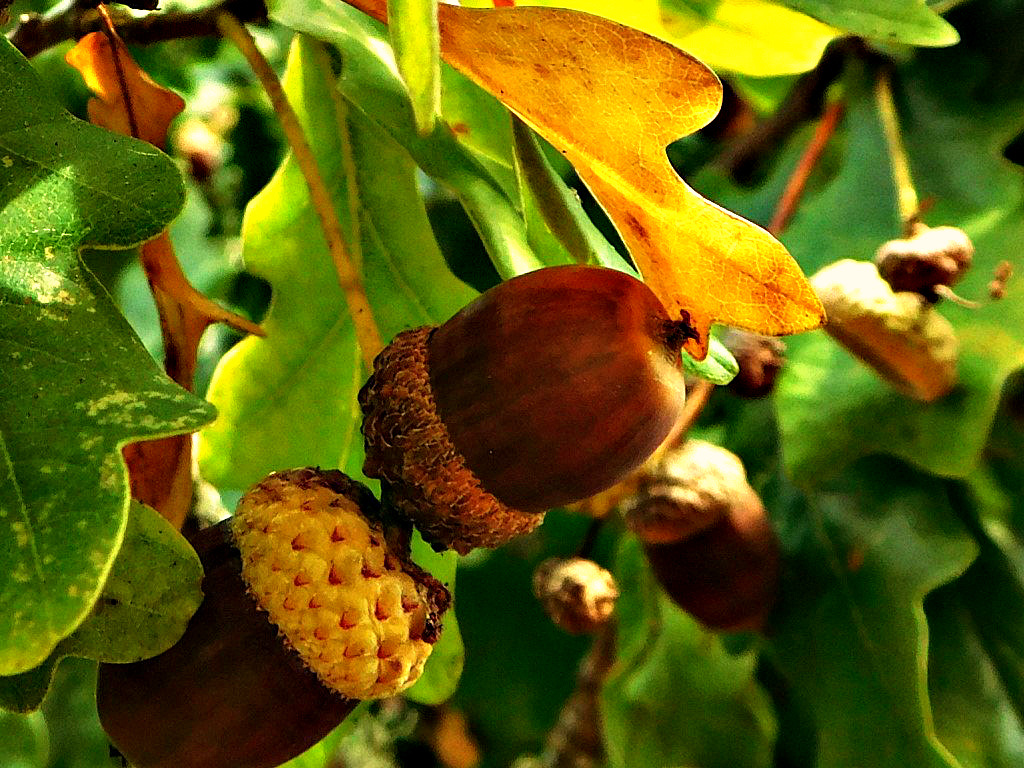 ღஐƹ̵̡ӝ̵̨̄ʒஐღ