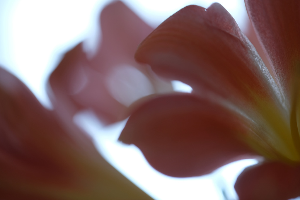 DSCF2969