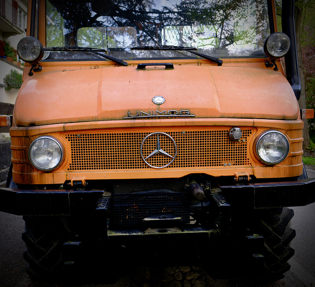 Unimog