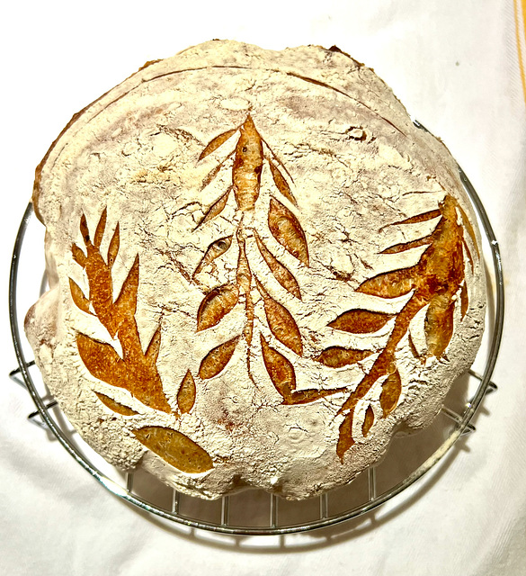 Edible Art?