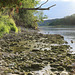 Flaach - Bei der Thurbrücke bei Ellikon