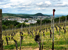 Blick auf Bad Neuenahr und die Landskrone