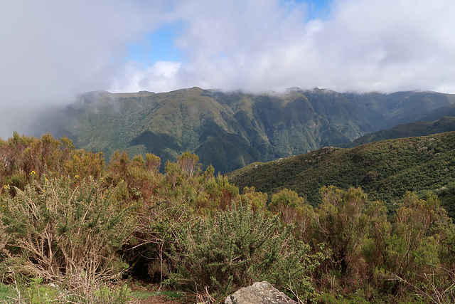 More misty views