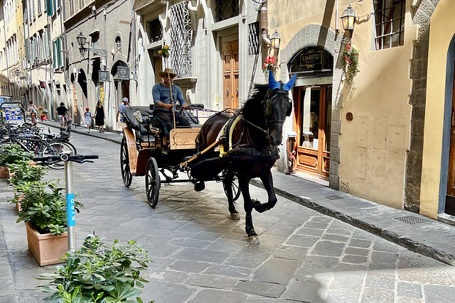 Florence 2023 – Speeding through the street