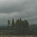 20250524-20250525_Benneckenstein+Wanderung Tanne bis Elbingerode