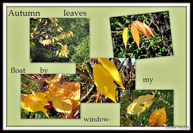Autumn Collage.