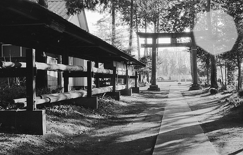 Flag pole storage and torii