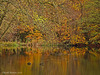 Autumn Colours and Reflections