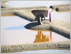 Visite des marais salants près de Guérande (44)