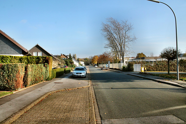 Frische Luft (Dortmund-Wickede) / 12.11.2016