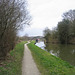 Looking  back to Pipe Bridge on the Coventry Canal
