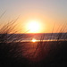 A sunset taken from the sand dunes