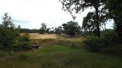 DSCF7825