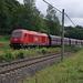 BÖ0034304