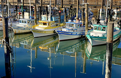 Sailboats at Fisherman's Wharf