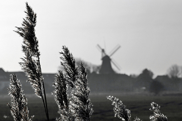 Wind der Veränderung