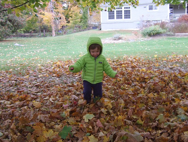 Leaf Play #1