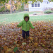 Leaf Play #1