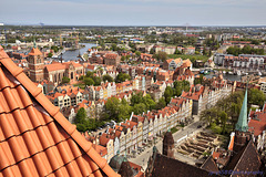 Gdańsk (9)