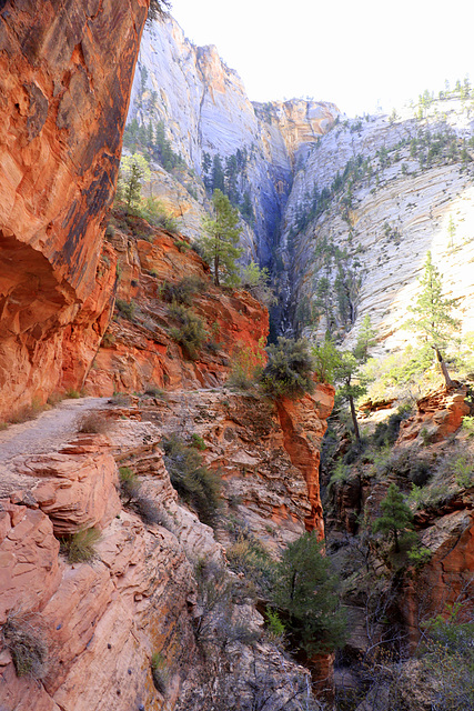 Zion National Park, Observation Point Trail