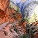 Zion National Park, Observation Point Trail