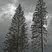 20250524-20250525_Benneckenstein+Wanderung Tanne bis Elbingerode