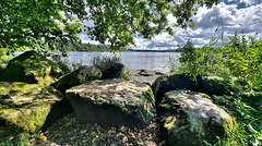 Natürliche Bank im Naturschutzgebiet, HBM