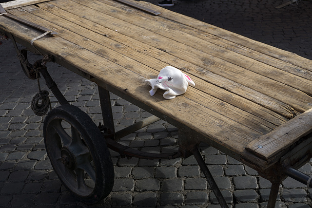 Abandoned bunny hat, Campo de' Fiori