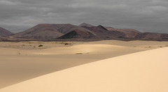 Corralejo dunes