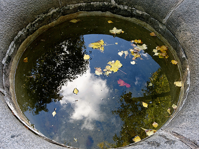 Whirlpool from last autumn