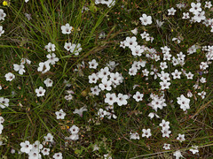 20230604 Blandas (54)