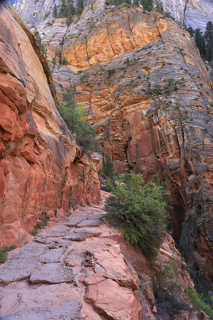 Zion National Park, Observation Point Trail