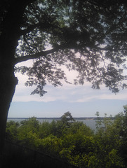 Une vue assez satisfaisante pendant une pause routière